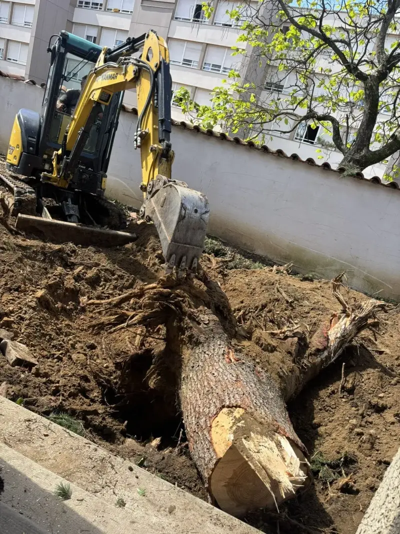 Mini-pelle arrachant une grosse souche et ses racines au pied d’un mur