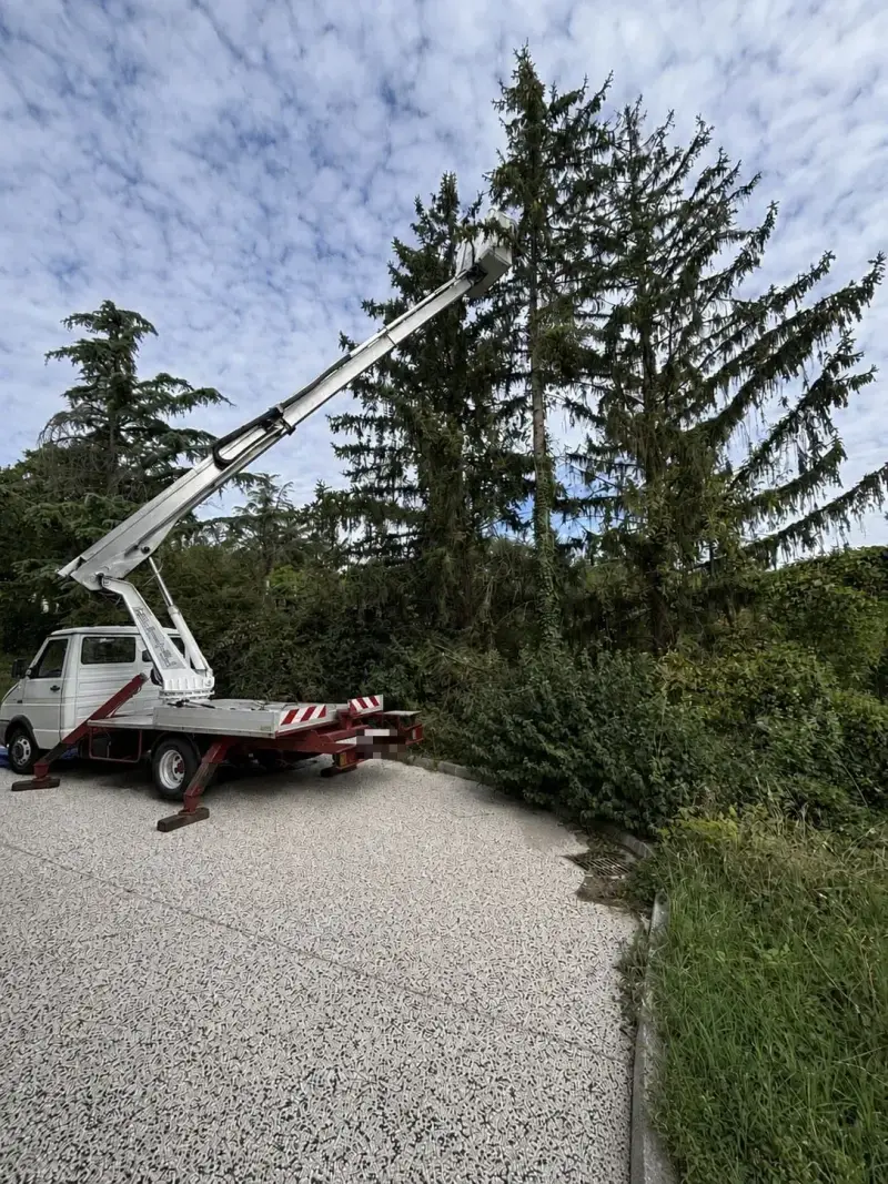 Camion nacelle stabilisé sur ses vérins dans une allée, bras levé vers de grands arbres